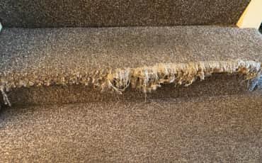 Carpet Repair South Yarra